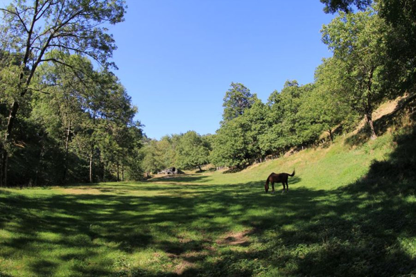 Extérieur du Chêne en Ardèche