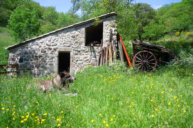 Moulin de Palhiaire - Ferme de la Croze