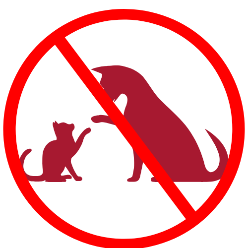 Animaux non autorisés