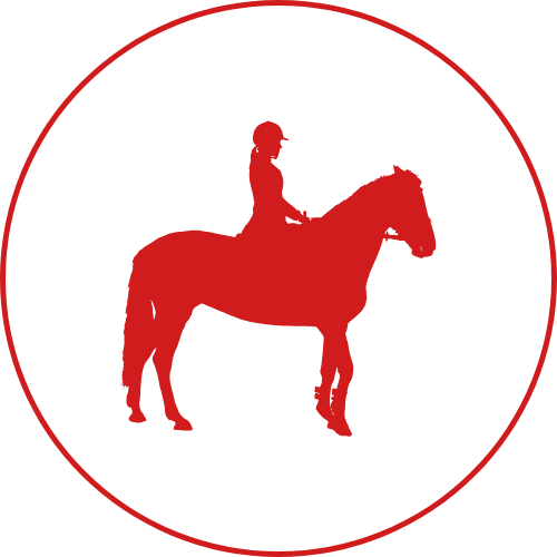 Pictogramme-Equitation