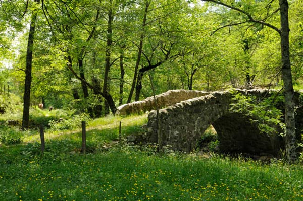 Pont en pierre en Ardèche