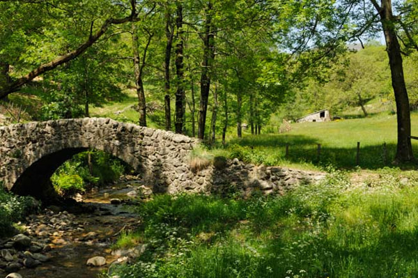 Petit pont en pierre ardéchois